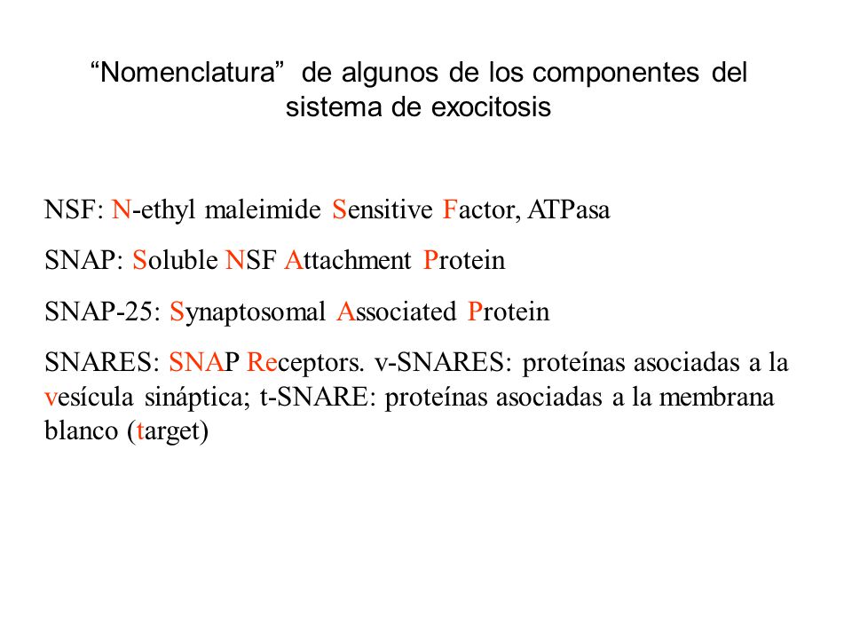 Nomenclatura de algunos de los componentes del sistema de exocitosis
