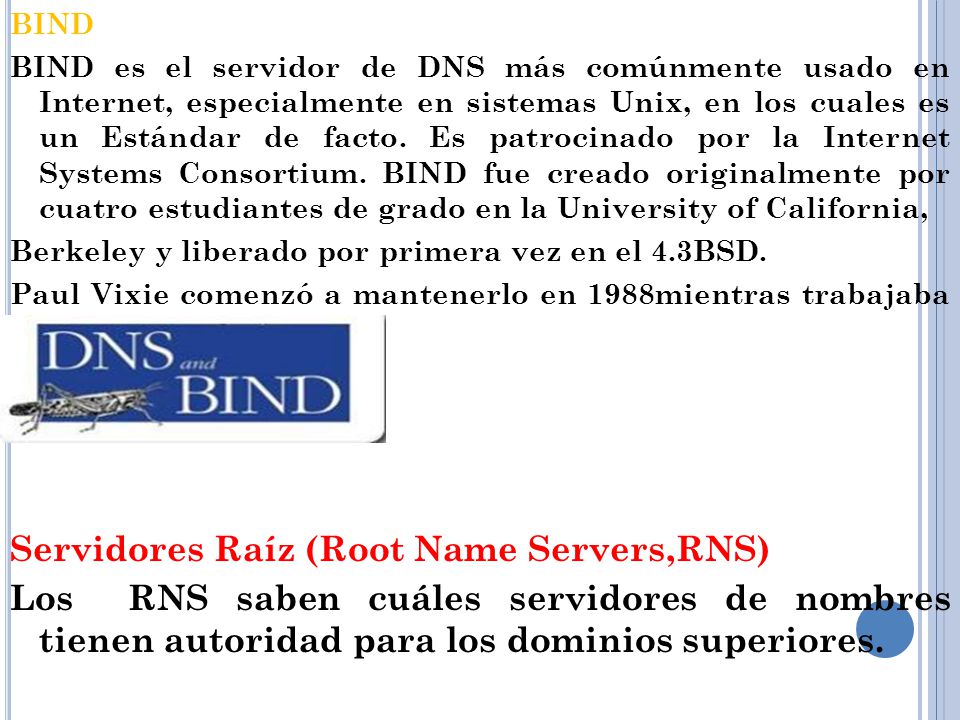 Servidores Raíz (Root Name Servers,RNS)