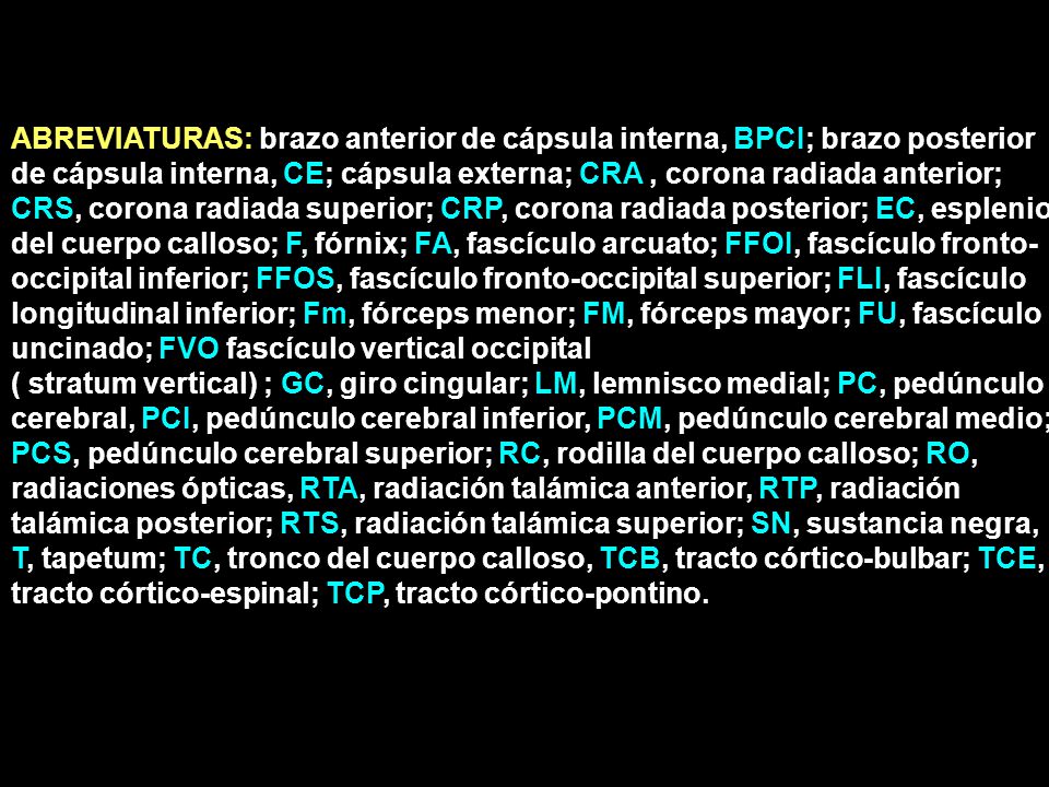 ABREVIATURAS: brazo anterior de cápsula interna, BPCI; brazo posterior de cápsula interna, CE; cápsula externa; CRA , corona radiada anterior; CRS, corona radiada superior; CRP, corona radiada posterior; EC, esplenio del cuerpo calloso; F, fórnix; FA, fascículo arcuato; FFOI, fascículo fronto-occipital inferior; FFOS, fascículo fronto-occipital superior; FLI, fascículo longitudinal inferior; Fm, fórceps menor; FM, fórceps mayor; FU, fascículo uncinado; FVO fascículo vertical occipital
