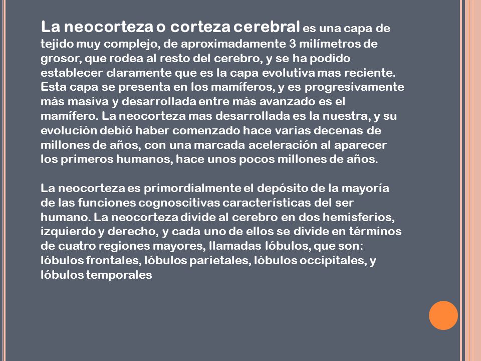 La neocorteza o corteza cerebral es una capa de tejido muy complejo, de aproximadamente 3 milímetros de grosor, que rodea al resto del cerebro, y se ha podido establecer claramente que es la capa evolutiva mas reciente.