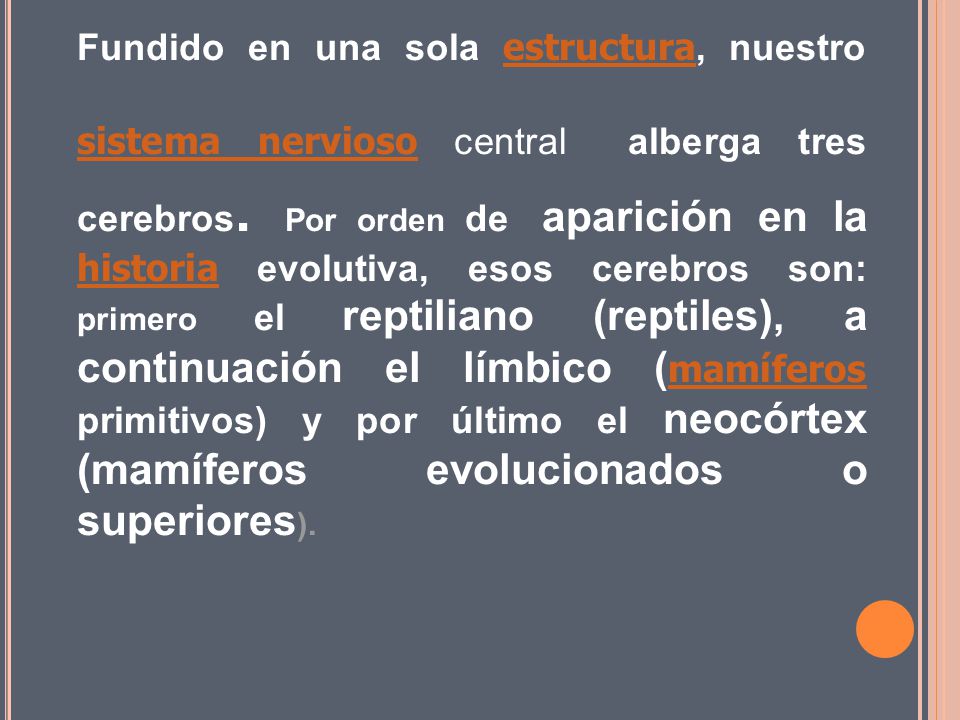 Fundido en una sola estructura, nuestro sistema nervioso central alberga tres cerebros.