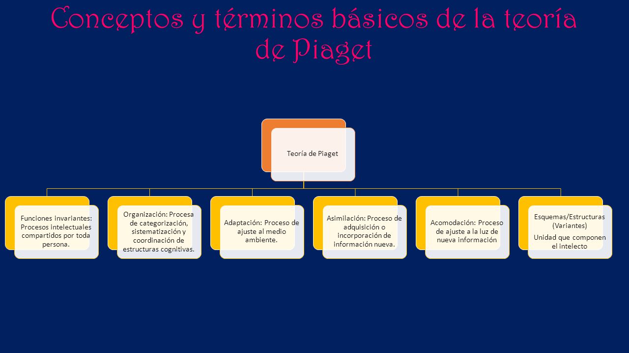 Conceptos y términos básicos de la teoría de Piaget