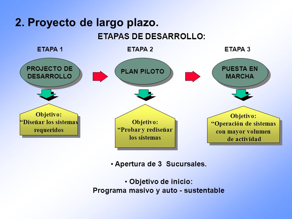 2. Proyecto de largo plazo.