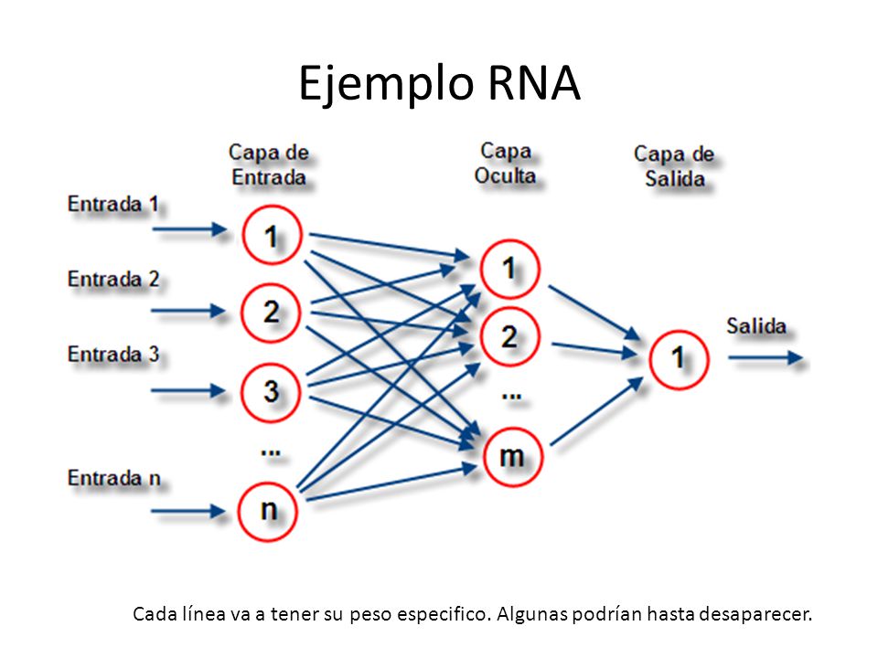 Ejemplo RNA Cada línea va a tener su peso especifico. Algunas podrían hasta desaparecer.