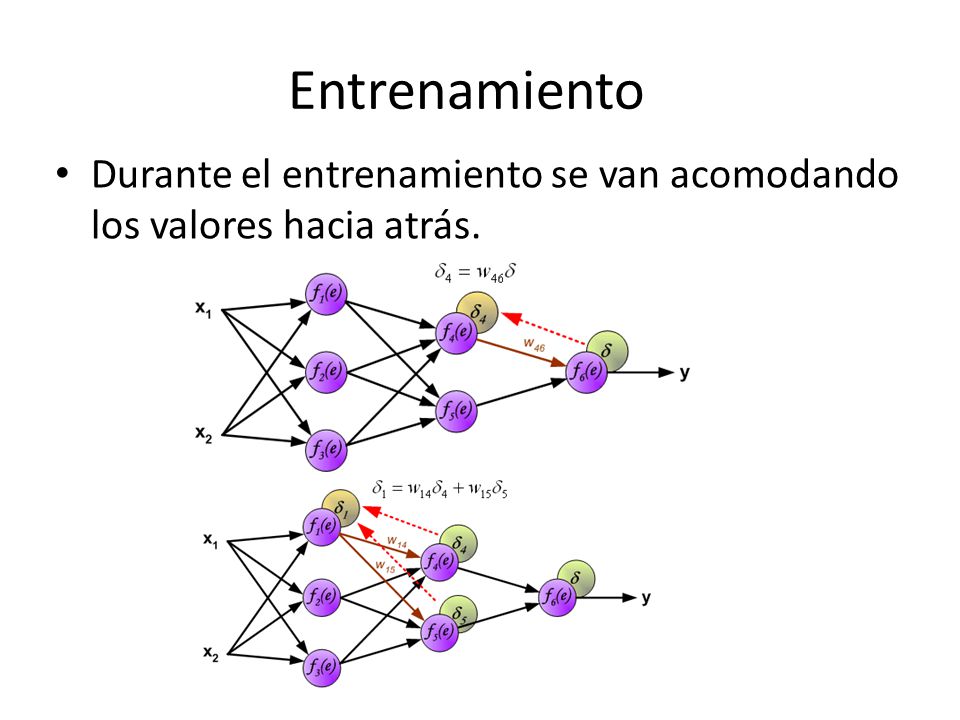 Entrenamiento Durante el entrenamiento se van acomodando los valores hacia atrás.