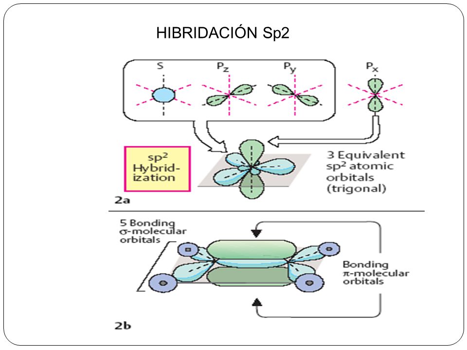 HIBRIDACIÓN Sp2