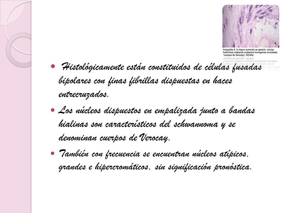 Histológicamente están constituidos de células fusadas bipolares con finas fibrillas dispuestas en haces entrecruzados.