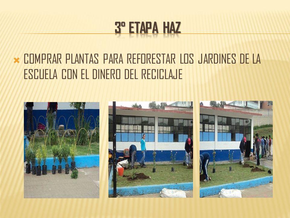 3° etapa haz COMPRAR PLANTAS PARA REFORESTAR LOS JARDINES DE LA ESCUELA CON EL DINERO DEL RECICLAJE