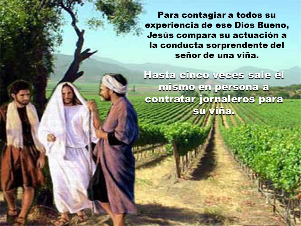 Para contagiar a todos su experiencia de ese Dios Bueno, Jesús compara su actuación a la conducta sorprendente del señor de una viña.