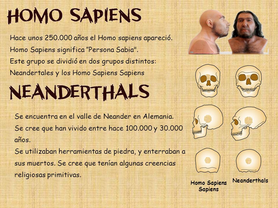 Hace unos años el Homo sapiens apareció