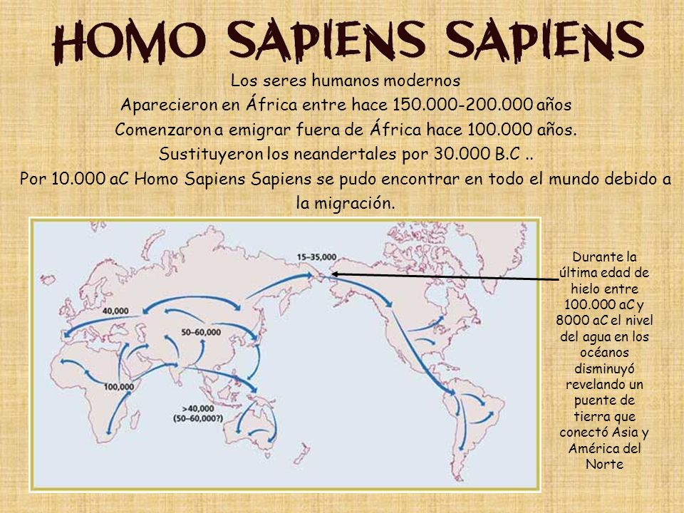 Los seres humanos modernos Aparecieron en África entre hace 150