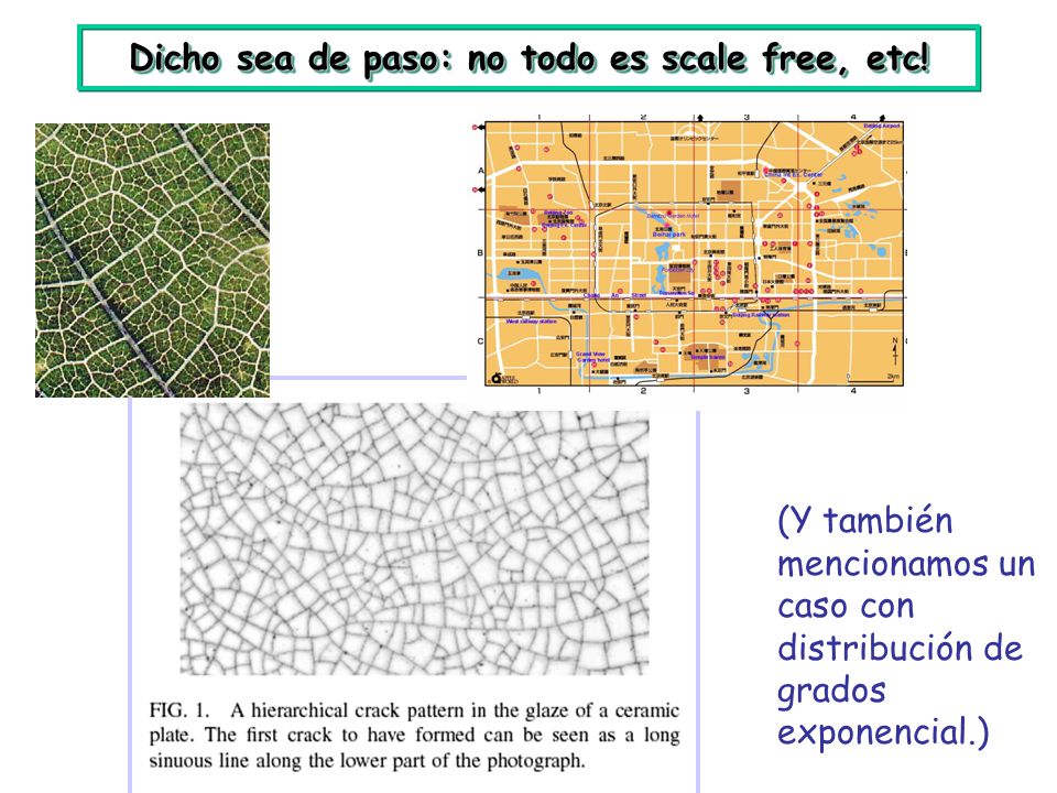 Dicho sea de paso: no todo es scale free, etc!