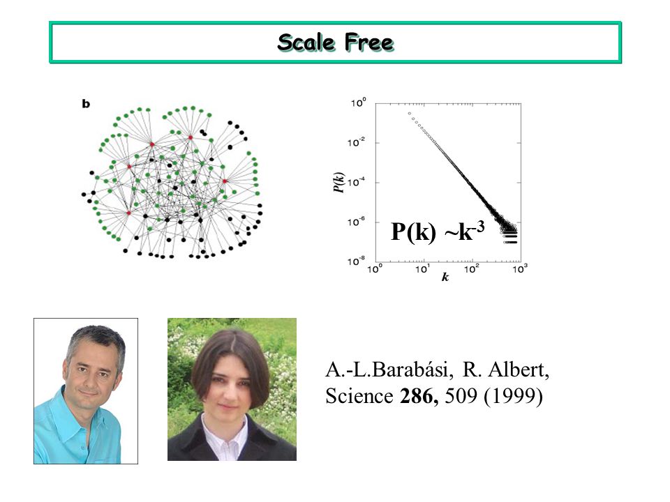 Scale Free P(k) ~k-3 A.-L.Barabási, R. Albert, Science 286, 509 (1999)
