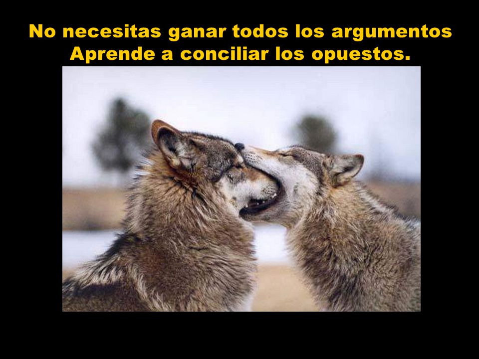No necesitas ganar todos los argumentos