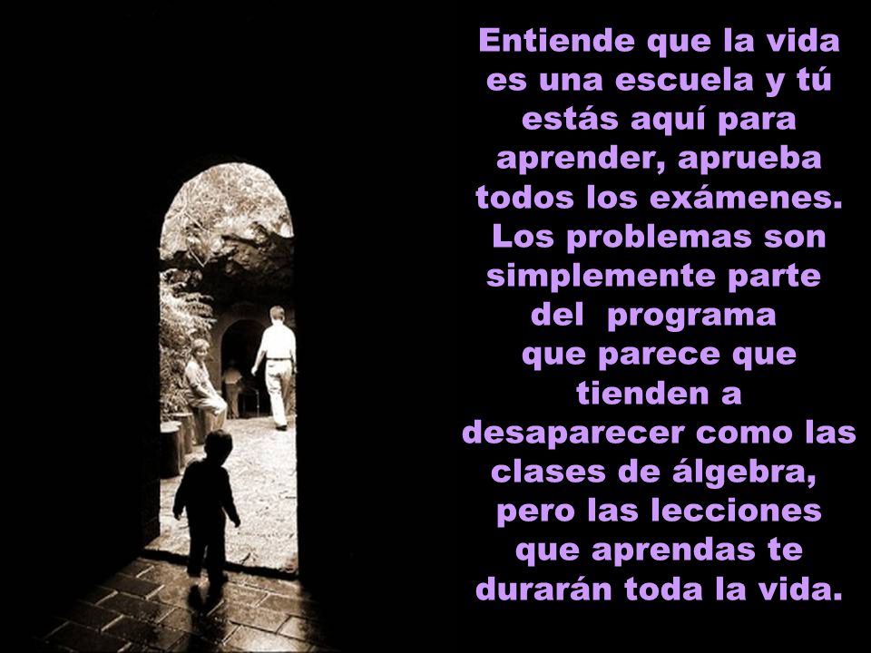 Entiende que la vida es una escuela y tú estás aquí para aprender, aprueba todos los exámenes.