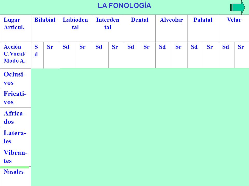 p b t d k g f z s y j ch l ll r, rr m n ñ LA FONOLOGÍA Oclusi- vos