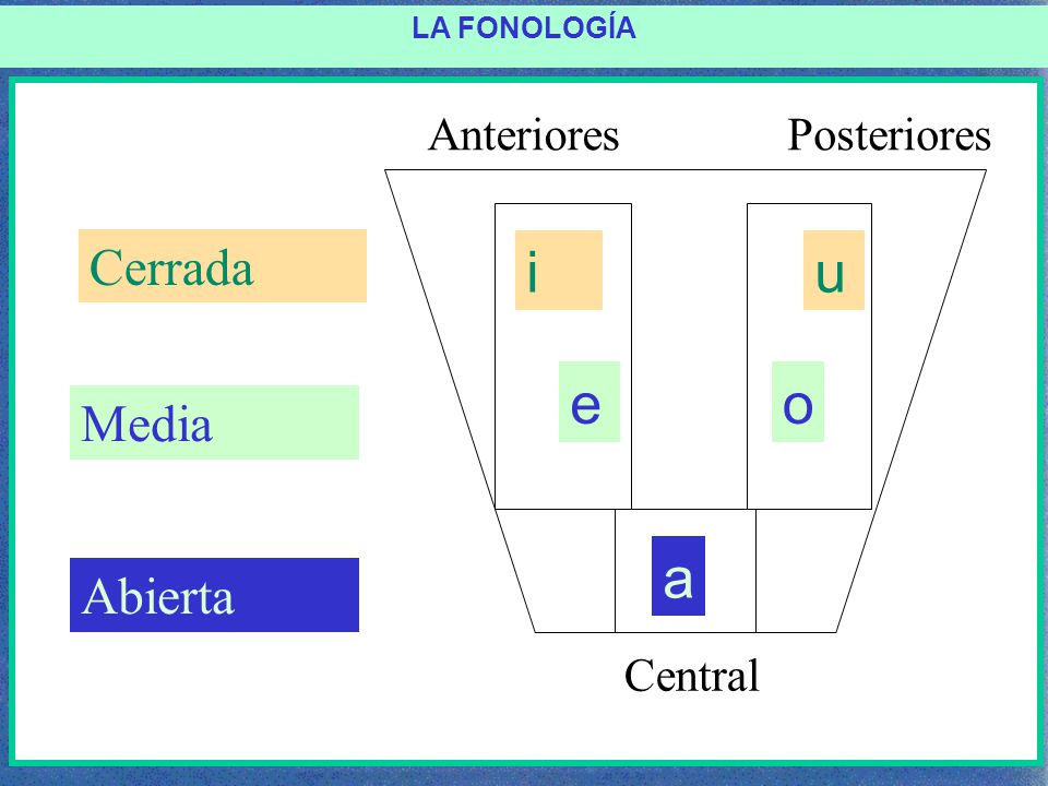 i u e o a Cerrada Media Abierta Anteriores Posteriores Central