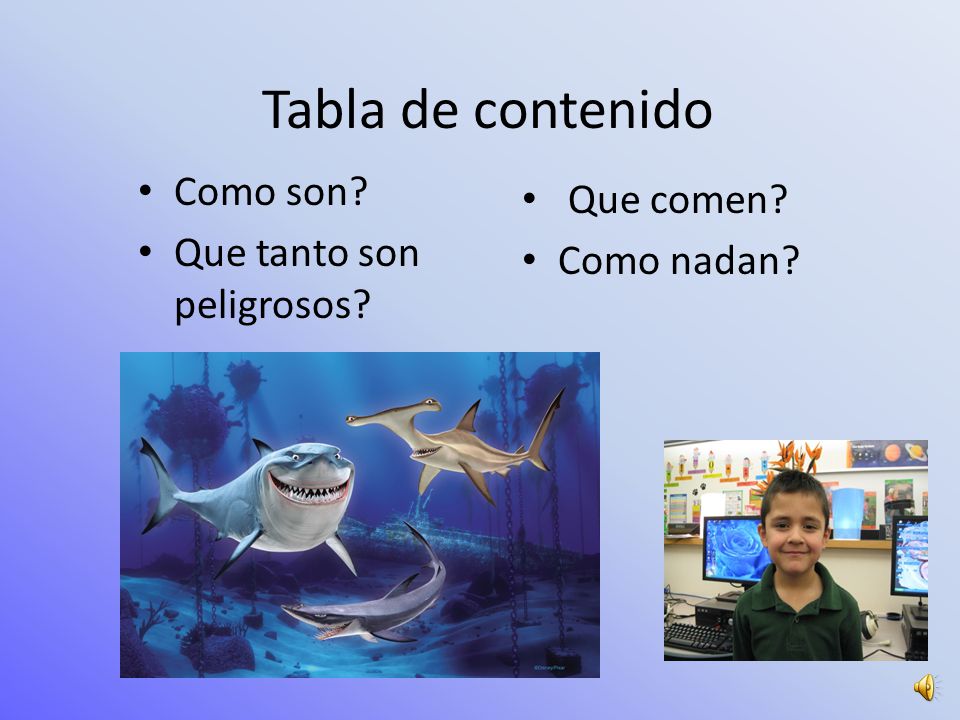 Tabla de contenido Como son Que comen Que tanto son peligrosos