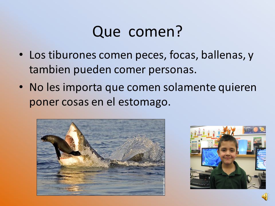 Que comen Los tiburones comen peces, focas, ballenas, y tambien pueden comer personas.