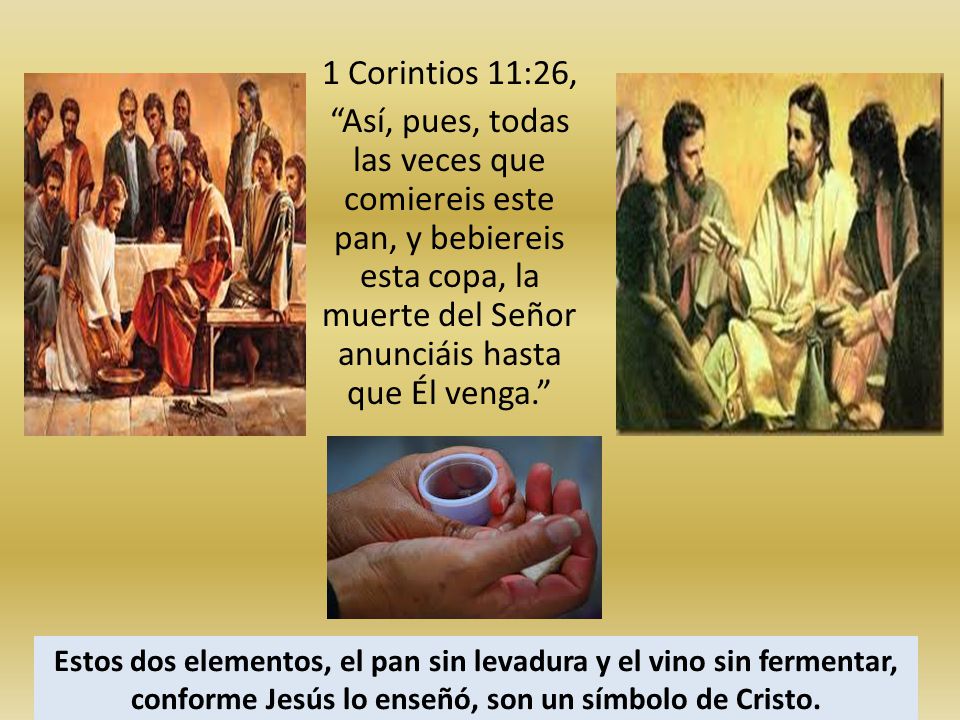 1 Corintios 11:26, Así, pues, todas las veces que comiereis este pan, y bebiereis esta copa, la muerte del Señor anunciáis hasta que Él venga.