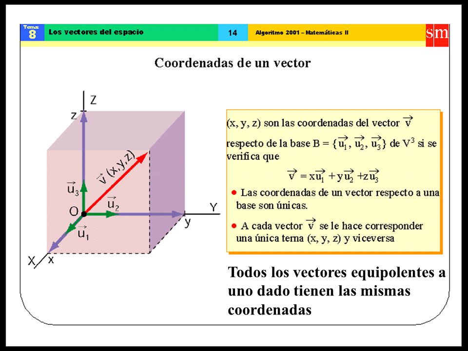 Todos los vectores equipolentes a uno dado tienen las mismas coordenadas