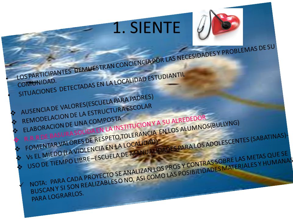 1. SIENTE LOS PARTICIPANTES DEMUESTRAN CONCIENCIA POR LAS NECESIDADES Y PROBLEMAS DE SU COMUNIDAD.