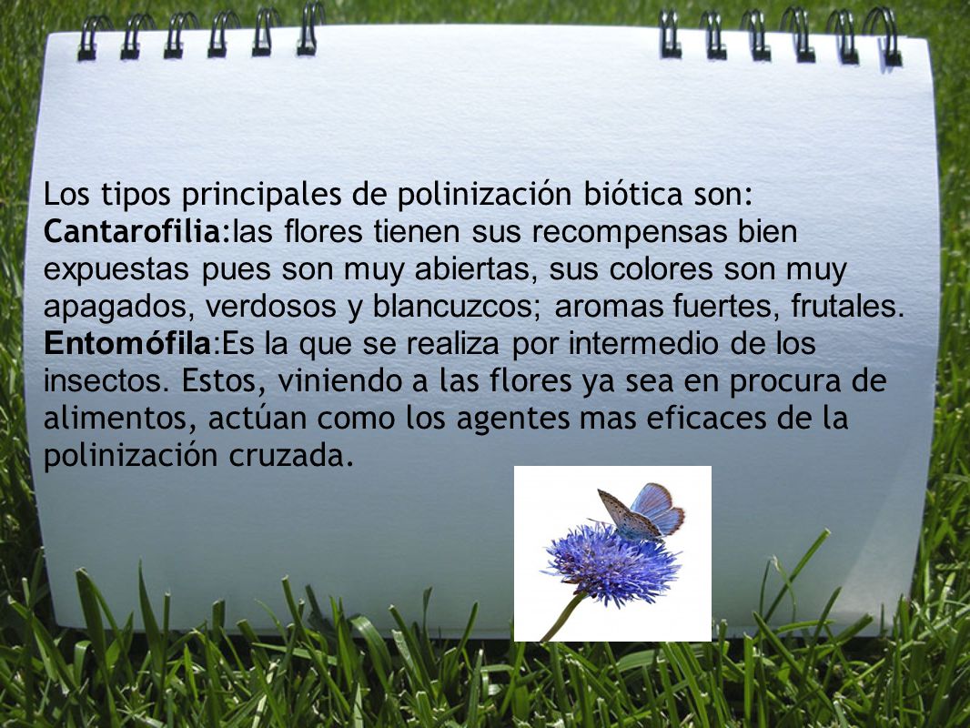 Los tipos principales de polinización biótica son: