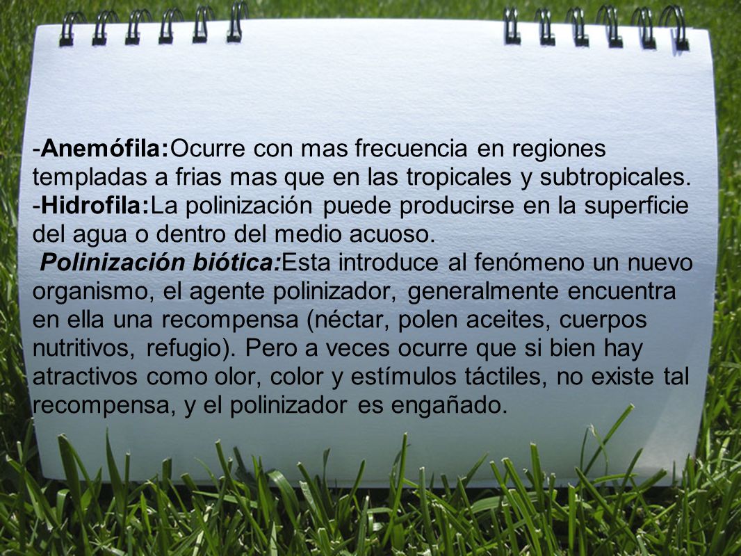 -Anemófila:Ocurre con mas frecuencia en regiones templadas a frias mas que en las tropicales y subtropicales.
