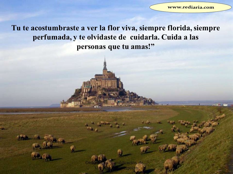 Otra edición y publicación de.... Vita Noble Powerpoints