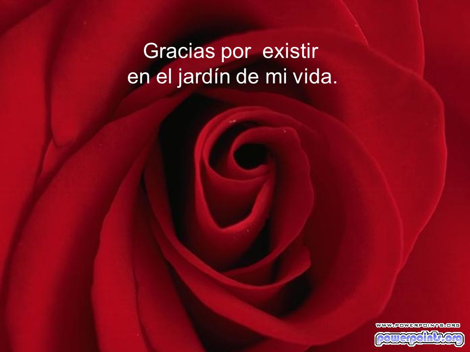 Gracias por existir en el jardín de mi vida.