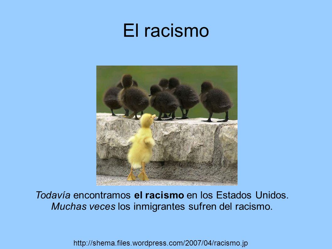 El racismo Todavía encontramos el racismo en los Estados Unidos. Muchas veces los inmigrantes sufren del racismo.