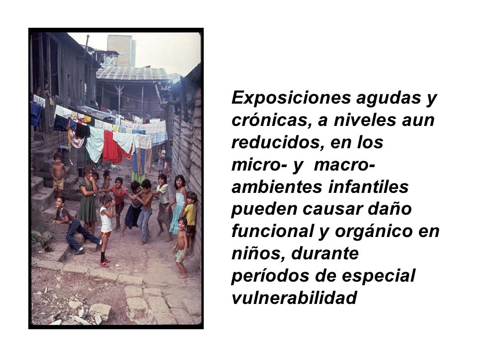 Exposiciones agudas y crónicas, a niveles aun reducidos, en los micro- y macro-ambientes infantiles pueden causar daño funcional y orgánico en niños, durante períodos de especial vulnerabilidad