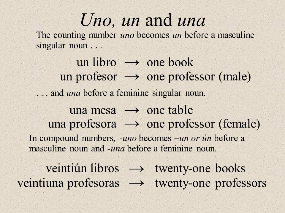 Uno, un and una → → → → → → un libro one book un profesor
