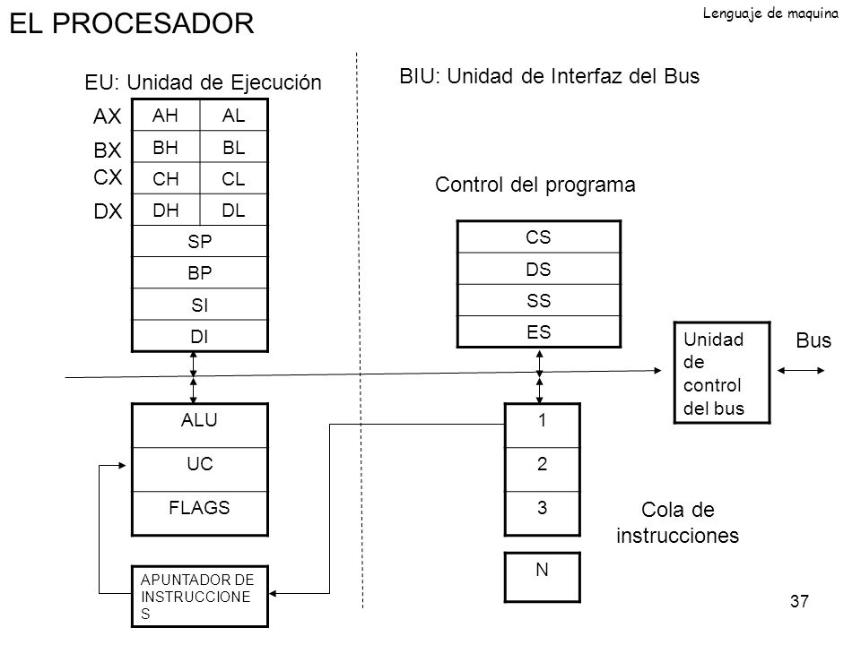 EL PROCESADOR BIU: Unidad de Interfaz del Bus EU: Unidad de Ejecución