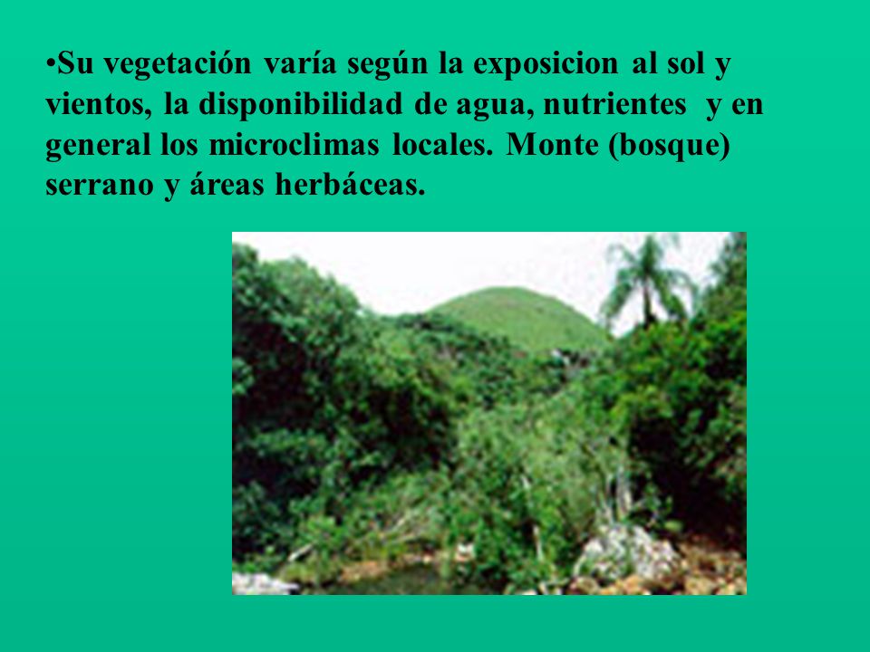 Su vegetación varía según la exposicion al sol y vientos, la disponibilidad de agua, nutrientes y en general los microclimas locales.
