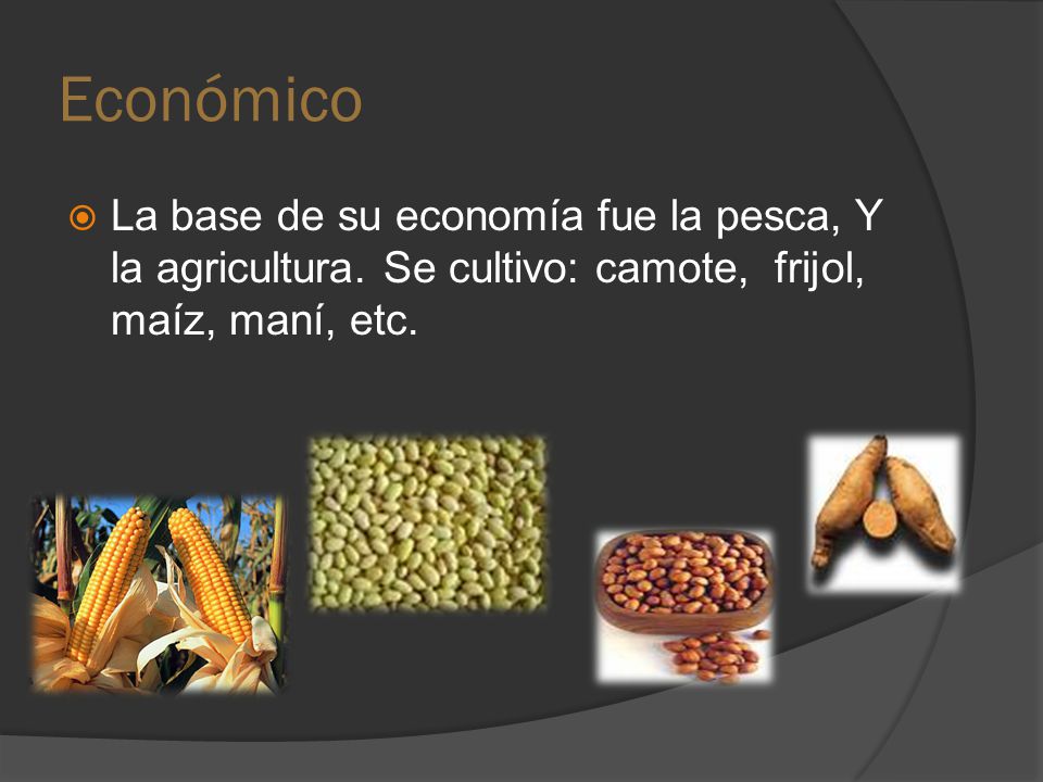 Económico La base de su economía fue la pesca, Y la agricultura.