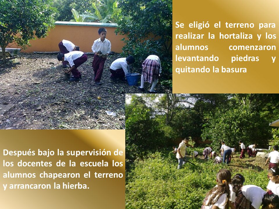 Se eligió el terreno para realizar la hortaliza y los alumnos comenzaron levantando piedras y quitando la basura