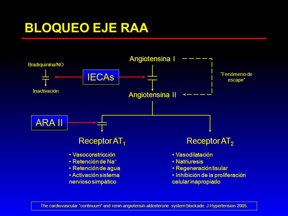 BLOQUEO EJE RAA IECAs ARA II Receptor AT1 Receptor AT2 Angiotensina I