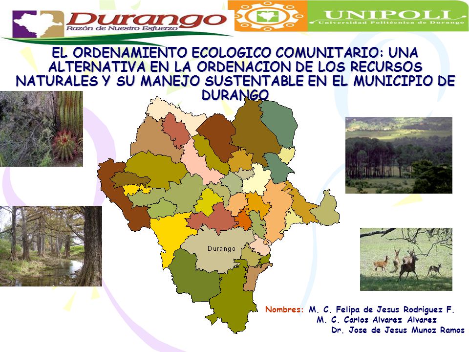 EL ORDENAMIENTO ECOLOGICO COMUNITARIO: UNA ALTERNATIVA EN LA ORDENACION DE LOS RECURSOS NATURALES Y SU MANEJO SUSTENTABLE EN EL MUNICIPIO DE DURANGO
