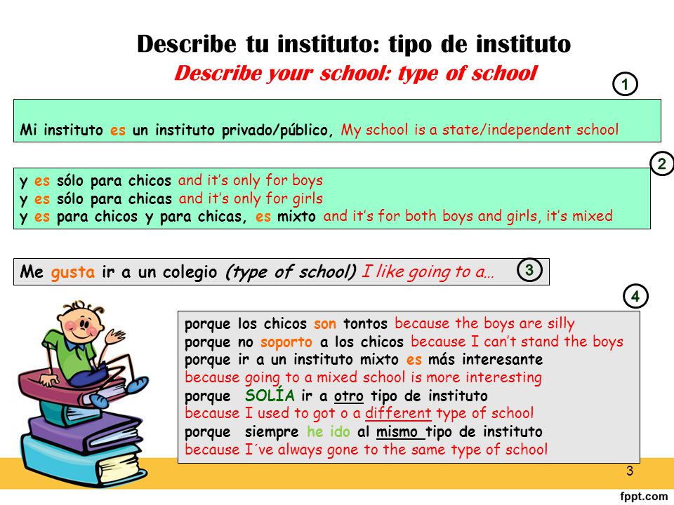 Describe tu instituto: tipo de instituto Describe your school: type of school