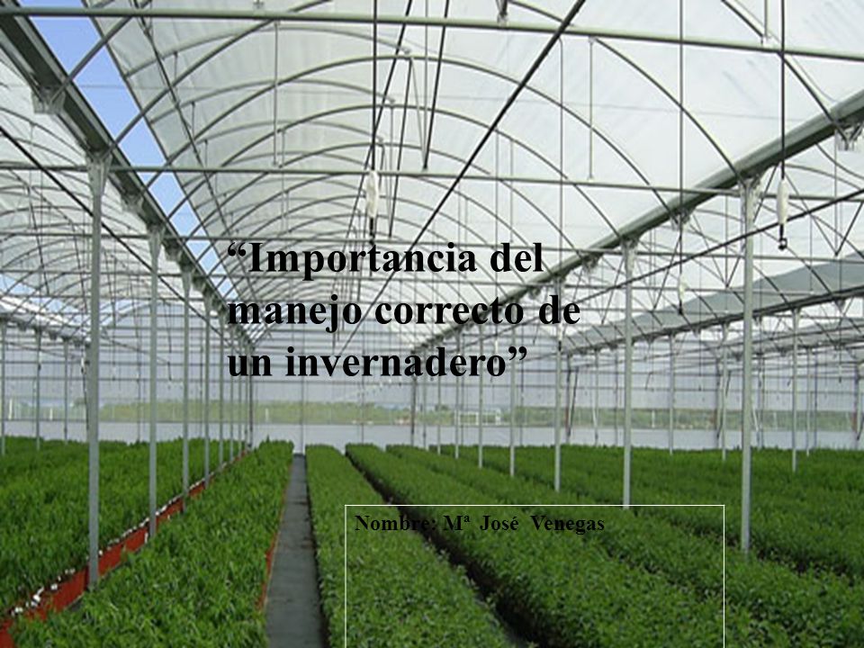 Importancia del manejo correcto de un invernadero