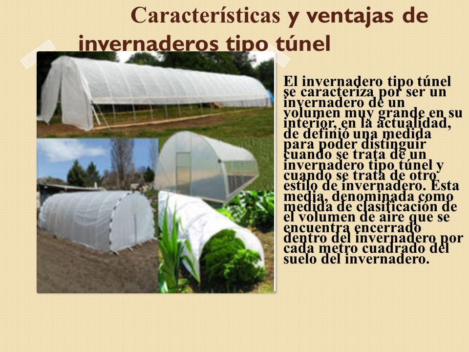 Características y ventajas de invernaderos tipo túnel