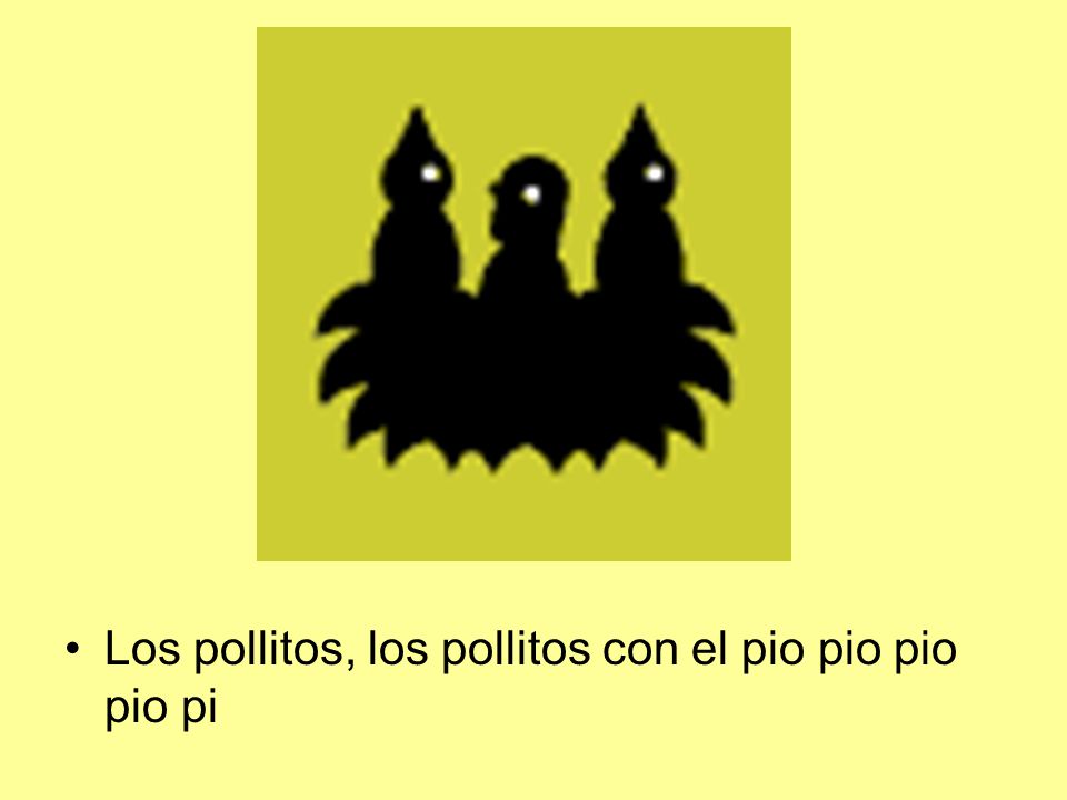 Los pollitos, los pollitos con el pio pio pio pio pi