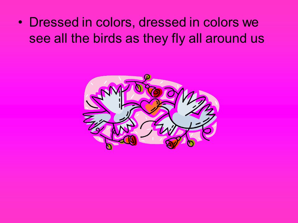 Dressed in colors, dressed in colors we see all the birds as they fly all around us
