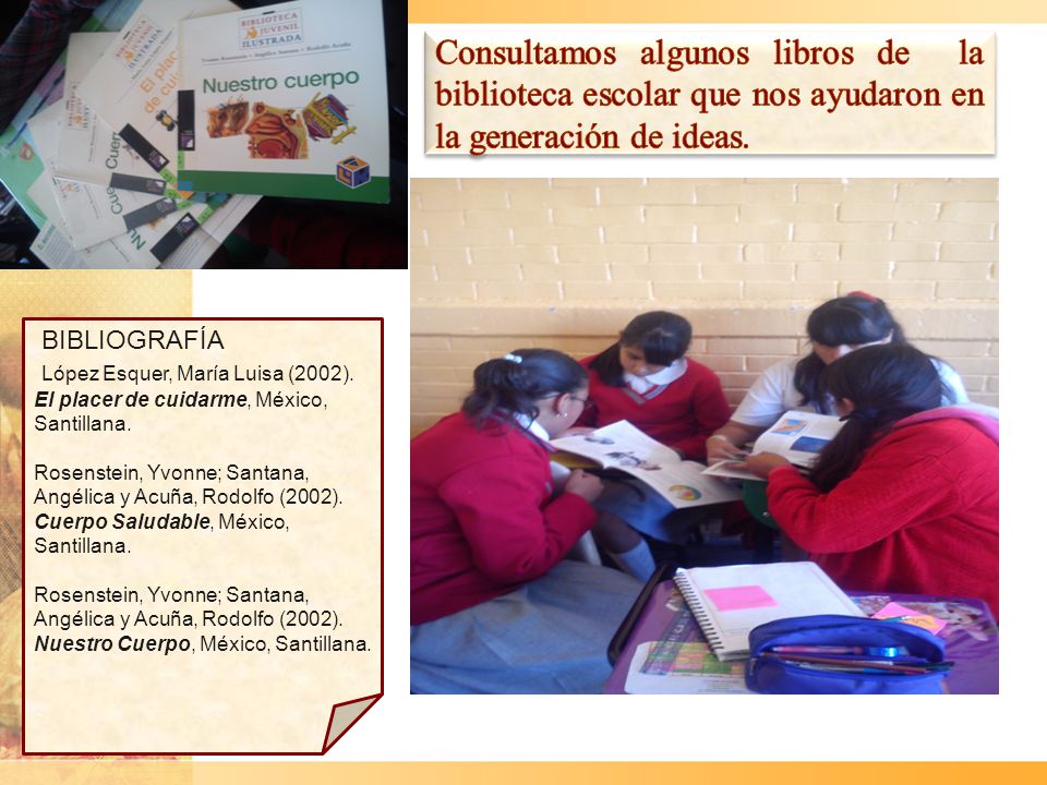Consultamos algunos libros de la biblioteca escolar que nos ayudaron en la generación de ideas.