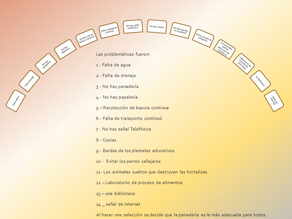 Las problemáticas fueron: 1 - Falta de agua 2 - Falta de drenaje