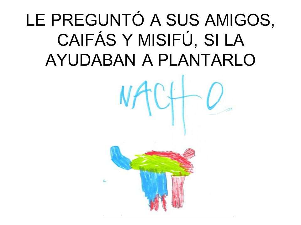 LE PREGUNTÓ A SUS AMIGOS, CAIFÁS Y MISIFÚ, SI LA AYUDABAN A PLANTARLO