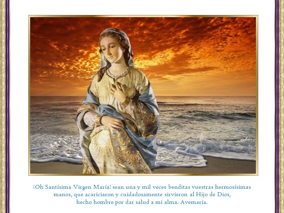 manos, que acariciaron y cuidadosamente sirvieron al Hijo de Dios,