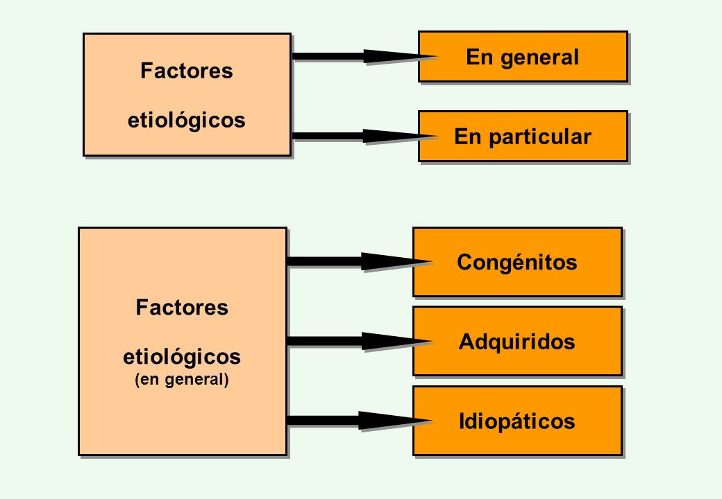 En general Factores etiológicos En particular Congénitos Factores