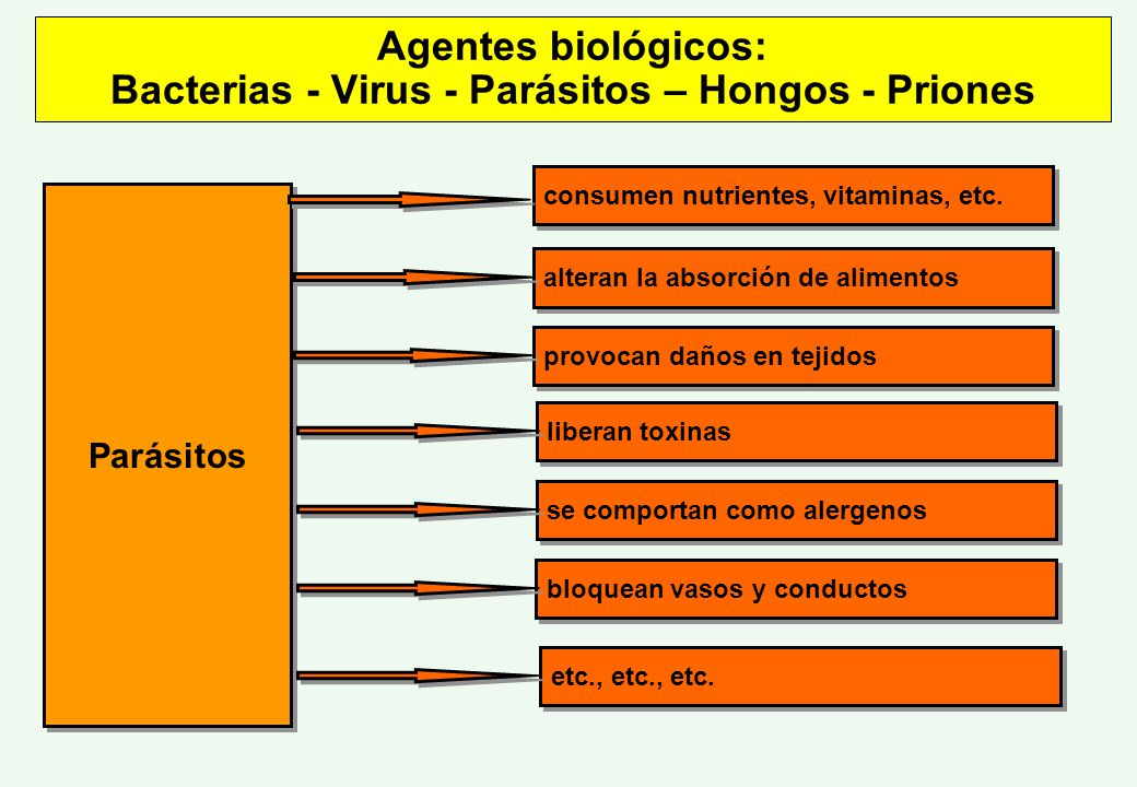 Agentes biológicos: Bacterias - Virus - Parásitos – Hongos - Priones